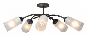 Люстра на штанге Vitaluce V2850 V2850-1/5PL в Качканаре - kachkanar.mebel24.online | фото 3