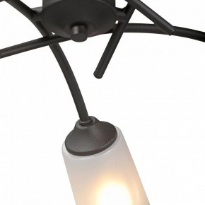 Люстра на штанге Vitaluce V2850 V2850-1/5PL в Качканаре - kachkanar.mebel24.online | фото 6