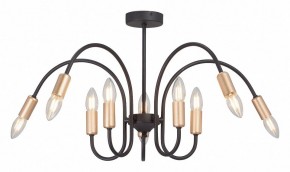 Люстра на штанге Vitaluce V3026 V3026-1/10PL в Качканаре - kachkanar.mebel24.online | фото 2