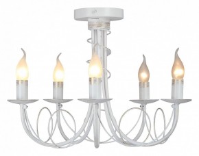 Люстра на штанге Vitaluce V3035 V3035-0/5PL в Качканаре - kachkanar.mebel24.online | фото 2