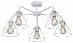 Люстра на штанге Vitaluce V3102 V3102-0/5PL в Качканаре - kachkanar.mebel24.online | фото