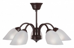 Люстра на штанге Vitaluce V3335 V3335-7/5PL в Качканаре - kachkanar.mebel24.online | фото