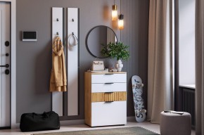 МЕБЕЛЬСОН К21 Прихожая в Качканаре - kachkanar.mebel24.online | фото