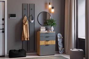 МЕБЕЛЬСОН К21 Прихожая в Качканаре - kachkanar.mebel24.online | фото 2