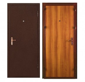 Металлическая дверь СПЕЦ ПРО (МЕТАЛЛ-ПАНЕЛЬ) 2060*960/ЛЕВАЯ в Качканаре - kachkanar.mebel24.online | фото