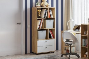 МИЛАН Детская (Дуб Золотой/Белый матовый) в Качканаре - kachkanar.mebel24.online | фото 53