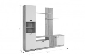 МОДИ Гостиная (модульная) белое дерево в Качканаре - kachkanar.mebel24.online | фото 2