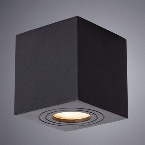 Накладной светильник Arte Lamp Galopin A1461PL-1BK в Качканаре - kachkanar.mebel24.online | фото 2