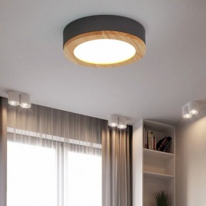 Накладной светильник Imperiumloft Wudda Серый WUDDA01 в Качканаре - kachkanar.mebel24.online | фото 3