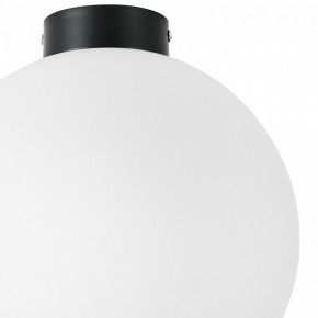 Накладной светильник Lightstar Globo 812037 в Качканаре - kachkanar.mebel24.online | фото 3