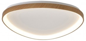 Накладной светильник Mantra Niseko 8636 в Качканаре - kachkanar.mebel24.online | фото