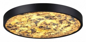 Накладной светильник Odeon Light Bergi 5064/40L в Качканаре - kachkanar.mebel24.online | фото 2