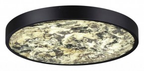 Накладной светильник Odeon Light Bergi 5064/40L в Качканаре - kachkanar.mebel24.online | фото 3