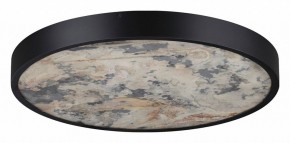 Накладной светильник Odeon Light Bergi 5064/40L в Качканаре - kachkanar.mebel24.online | фото 6
