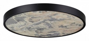 Накладной светильник Odeon Light Bergi 5064/50L в Качканаре - kachkanar.mebel24.online | фото 3