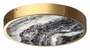 Накладной светильник Odeon Light Bergi 5079/30L в Качканаре - kachkanar.mebel24.online | фото 3