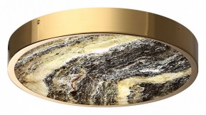 Накладной светильник Odeon Light Bergi 5079/30L в Качканаре - kachkanar.mebel24.online | фото 6