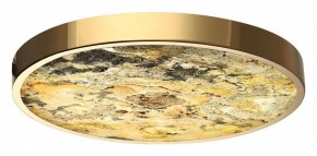 Накладной светильник Odeon Light Bergi 5079/40L в Качканаре - kachkanar.mebel24.online | фото 2