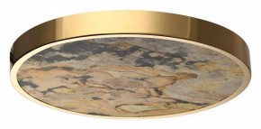 Накладной светильник Odeon Light Bergi 5079/40L в Качканаре - kachkanar.mebel24.online | фото 4