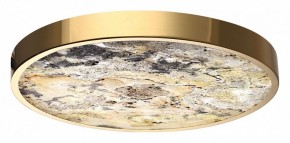 Накладной светильник Odeon Light Bergi 5079/40L в Качканаре - kachkanar.mebel24.online | фото 6