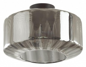 Накладной светильник Odeon Light Binga 4746/1C в Качканаре - kachkanar.mebel24.online | фото 2