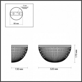 Накладной светильник Odeon Light Malaga 4936/1W в Качканаре - kachkanar.mebel24.online | фото 3