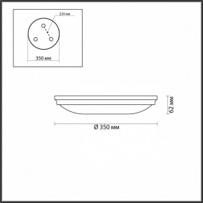 Накладной светильник Odeon Light Pelow 4956/4 в Качканаре - kachkanar.mebel24.online | фото 3