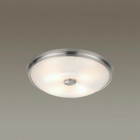 Накладной светильник Odeon Light Pelow 4957/4 в Качканаре - kachkanar.mebel24.online | фото 2