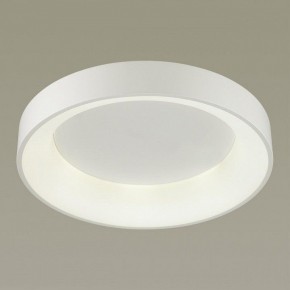 Накладной светильник Odeon Light Sole 4062/50CL в Качканаре - kachkanar.mebel24.online | фото 2