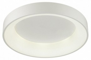 Накладной светильник Odeon Light Sole 4062/50CL в Качканаре - kachkanar.mebel24.online | фото 3