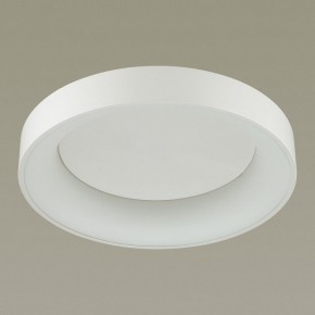 Накладной светильник Odeon Light Sole 4062/50CL в Качканаре - kachkanar.mebel24.online | фото 4