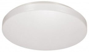 Накладной светильник Sonex Smalli 3050/CL в Качканаре - kachkanar.mebel24.online | фото 2