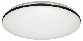 Накладной светильник Sonex Vaka 3042/DL в Качканаре - kachkanar.mebel24.online | фото 4