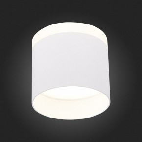 Накладной светильник ST-Luce Panaggio ST102.542.12 в Качканаре - kachkanar.mebel24.online | фото 3