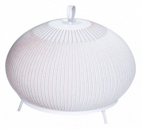 Настольная лампа декоративная Divinare Firefly 1808/33 TL-50 в Качканаре - kachkanar.mebel24.online | фото