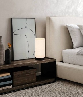 Настольная лампа декоративная Eglo Feniglia 900861 в Качканаре - kachkanar.mebel24.online | фото 2
