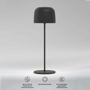 Настольная лампа декоративная Elektrostandard Bitty a069002 в Качканаре - kachkanar.mebel24.online | фото 2