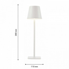 Настольная лампа декоративная F-promo Pyari 4614-1T в Качканаре - kachkanar.mebel24.online | фото 3