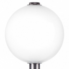Настольная лампа декоративная Lightstar Colore 805916 в Качканаре - kachkanar.mebel24.online | фото 6