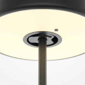 Настольная лампа декоративная Maytoni AI Collaboration MOD229TL-L3B3K2 в Качканаре - kachkanar.mebel24.online | фото 5