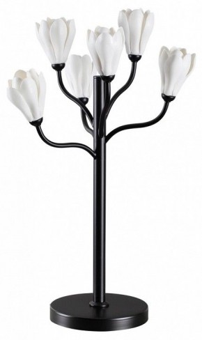 Настольная лампа декоративная Odeon Light Gardi 5090/6T в Качканаре - kachkanar.mebel24.online | фото