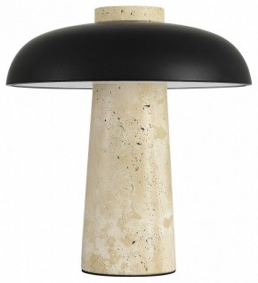 Настольная лампа декоративная ST-Luce Earthy SL1194.424.01 в Качканаре - kachkanar.mebel24.online | фото