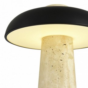 Настольная лампа декоративная ST-Luce Earthy SL1194.424.01 в Качканаре - kachkanar.mebel24.online | фото 6