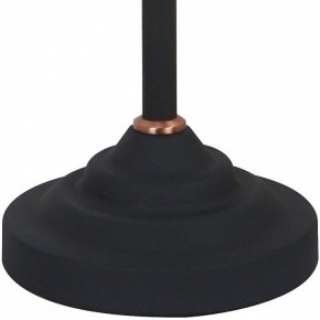 Настольная лампа офисная Arte Lamp Braccio A2054LT-1BK в Качканаре - kachkanar.mebel24.online | фото 4