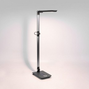 Настольная лампа офисная Elektrostandard Great a065290 в Качканаре - kachkanar.mebel24.online | фото 3