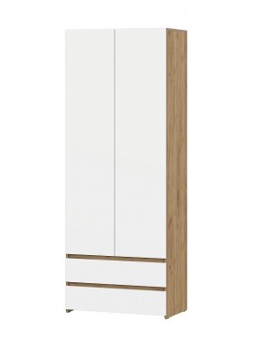 НЕКСТ 1 Шкаф двухстворчатый с ящиками в Качканаре - kachkanar.mebel24.online | фото 1