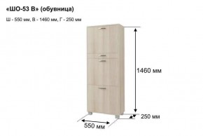 ШО-53 В тумба для обуви в Качканаре - kachkanar.mebel24.online | фото 8