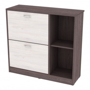 Обувница W29 (ЯАТ-ЯАС) в Качканаре - kachkanar.mebel24.online | фото
