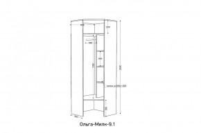 ОЛЬГА-МИЛК 9.1 Шкаф угловой без зеркала в Качканаре - kachkanar.mebel24.online | фото 2