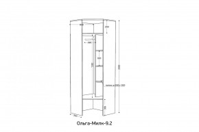 ОЛЬГА-МИЛК 9.2 Шкаф угловой с зеркалом в Качканаре - kachkanar.mebel24.online | фото 2